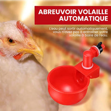 Charger l&#39;image dans la galerie, abreuvoir de volaille