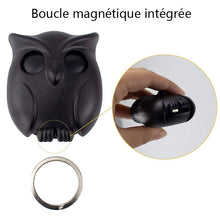 Charger l&#39;image dans la galerie, Crochet à Clé Hibou