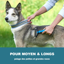 Charger l&#39;image dans la galerie, Brosse de toilettage pour animaux de compagnie